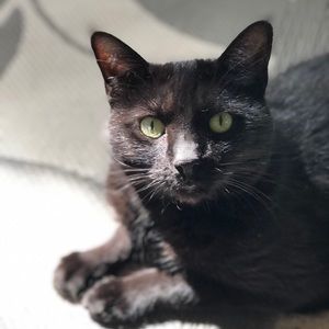 Meet your Posher, Rhonda